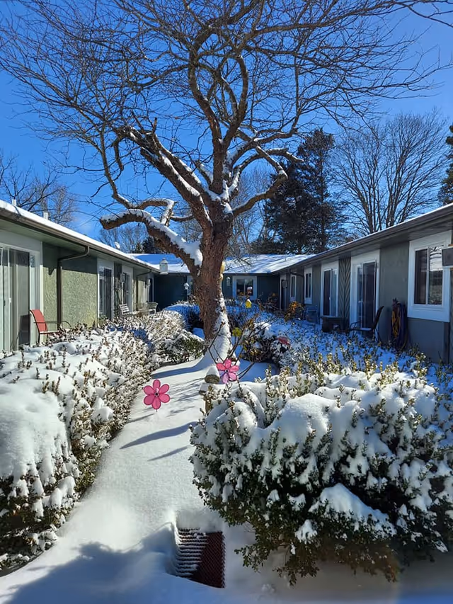 Photo of Century Pines