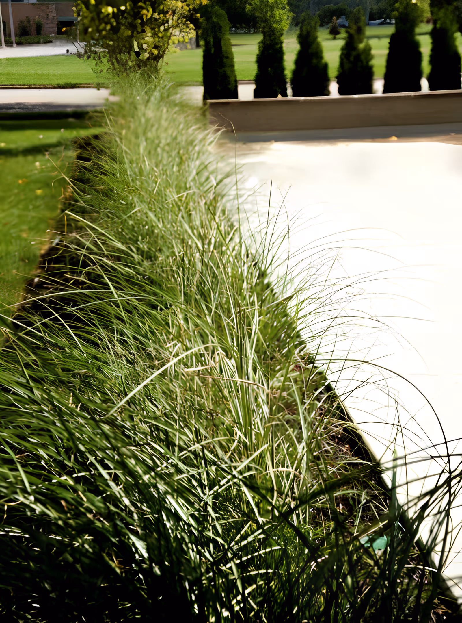 Photo 8 of Chester Street Residence
