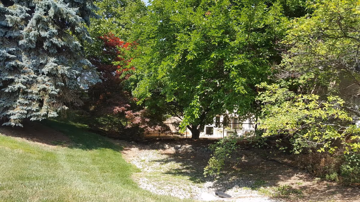 Photo 3 of The Springs at Rochester Hills Rehab and Nursing Center