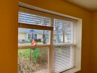Photo 4 of Rackleff Place