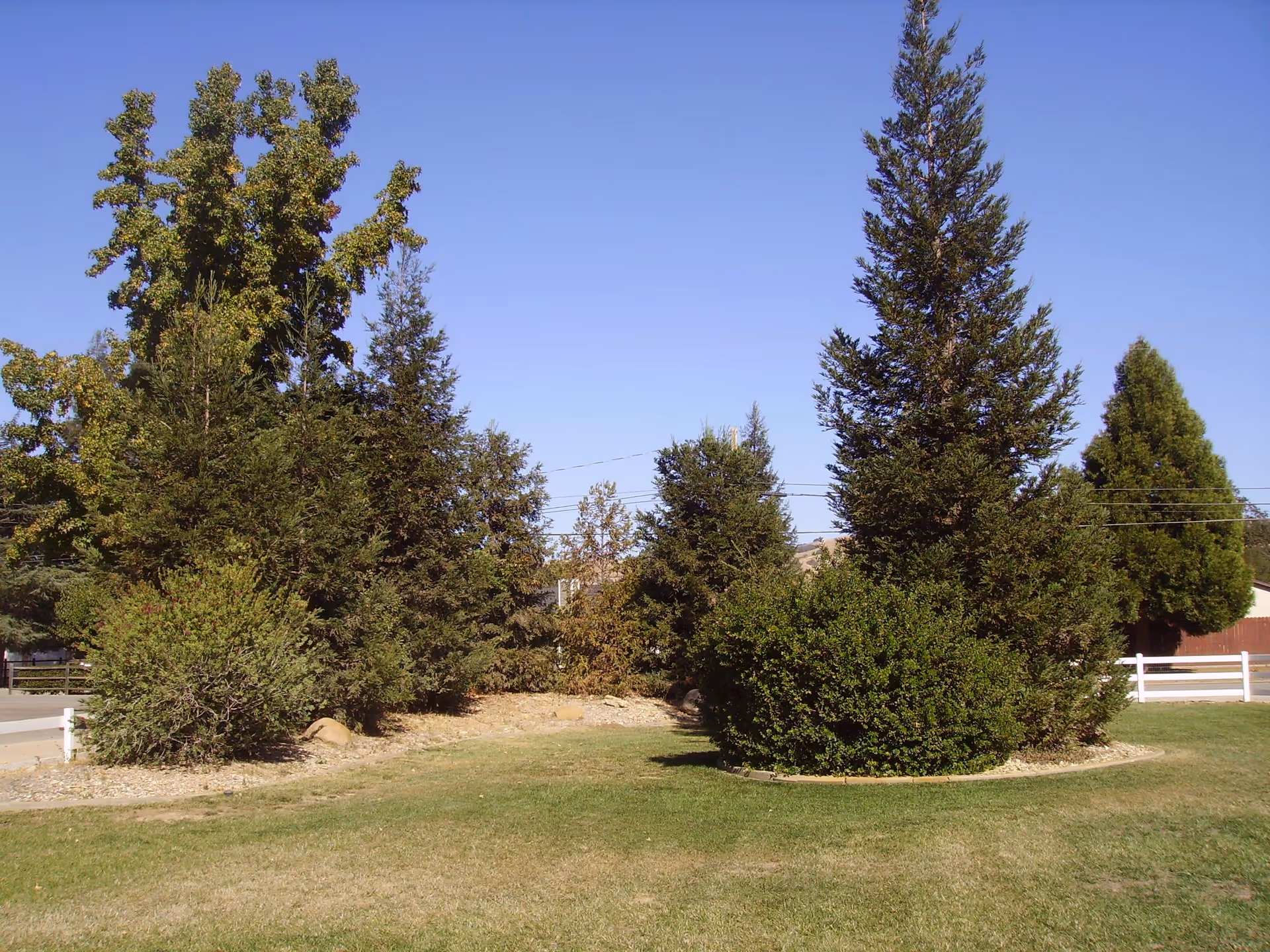 Photo 6 of A Touch Above Care, Sycamore