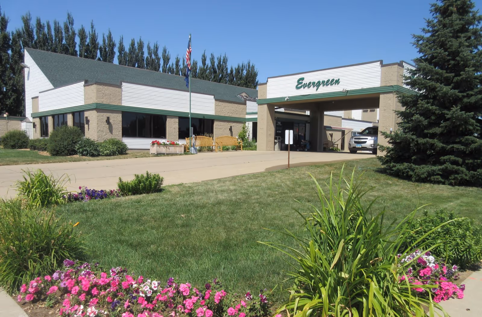 Photo of Evergreen