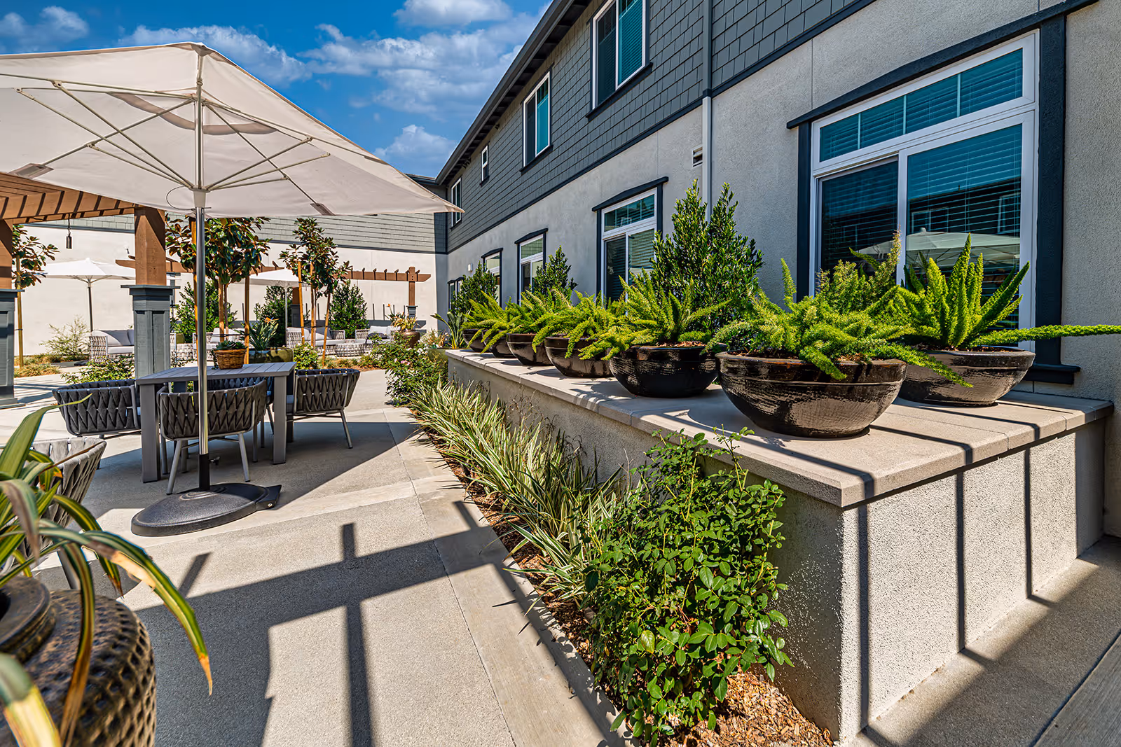 Photo 11 of Allara Senior Living