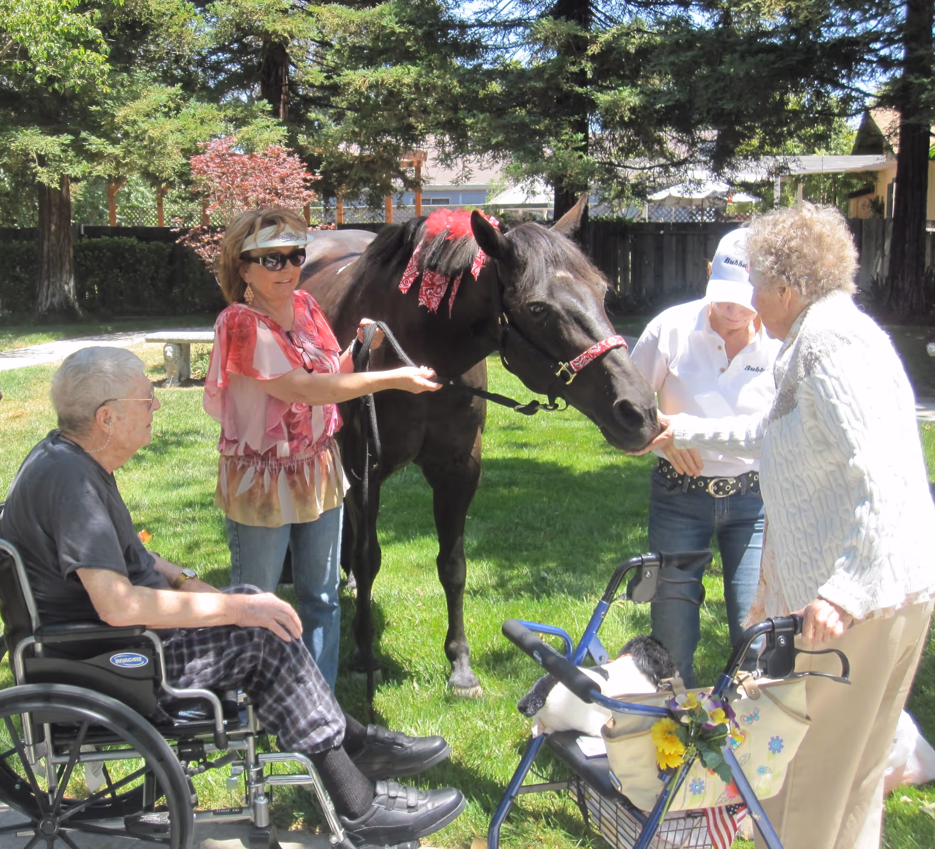Photo 6 of Livermore Valley Senior Living