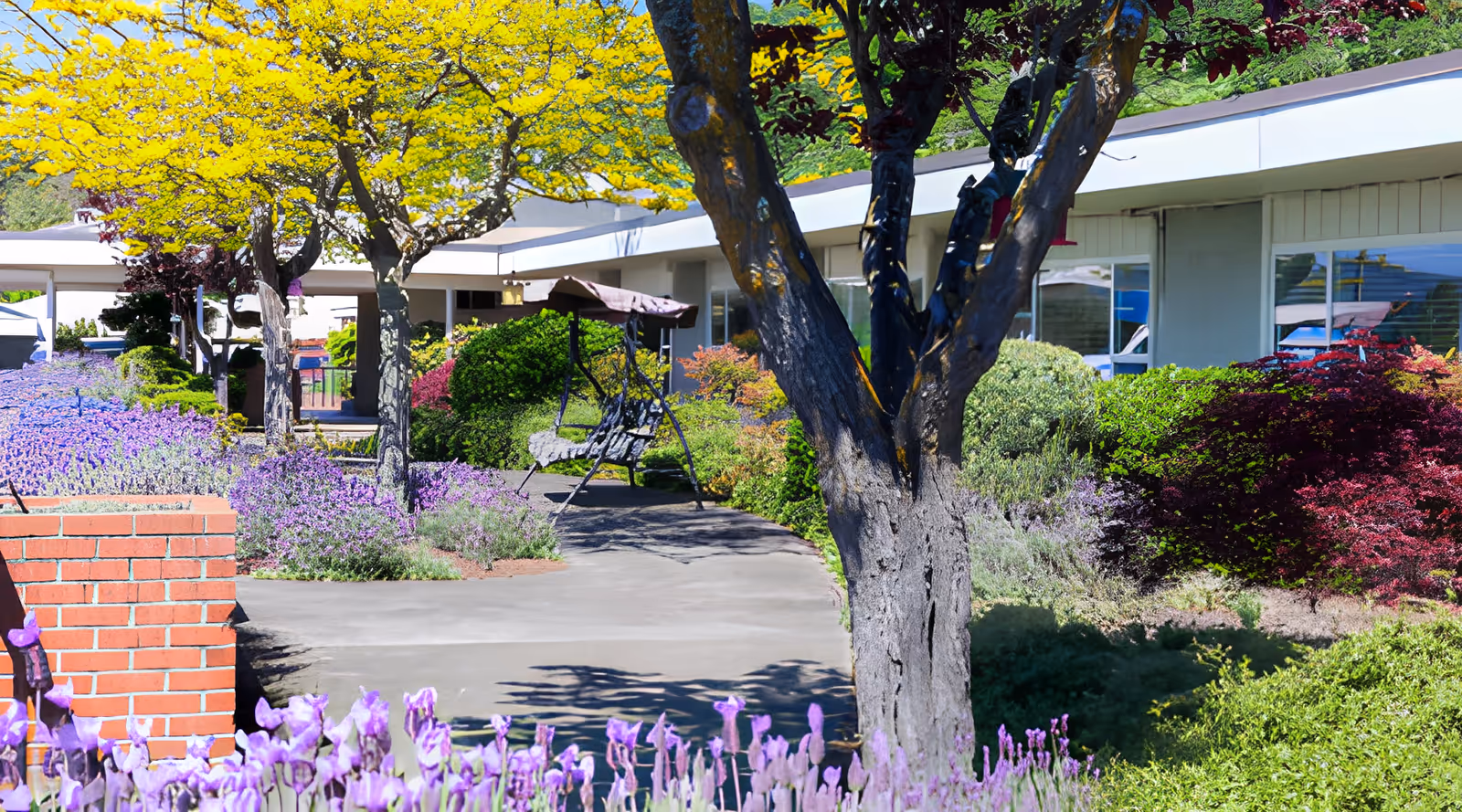 Photo 3 of Rose Haven Nursing Center