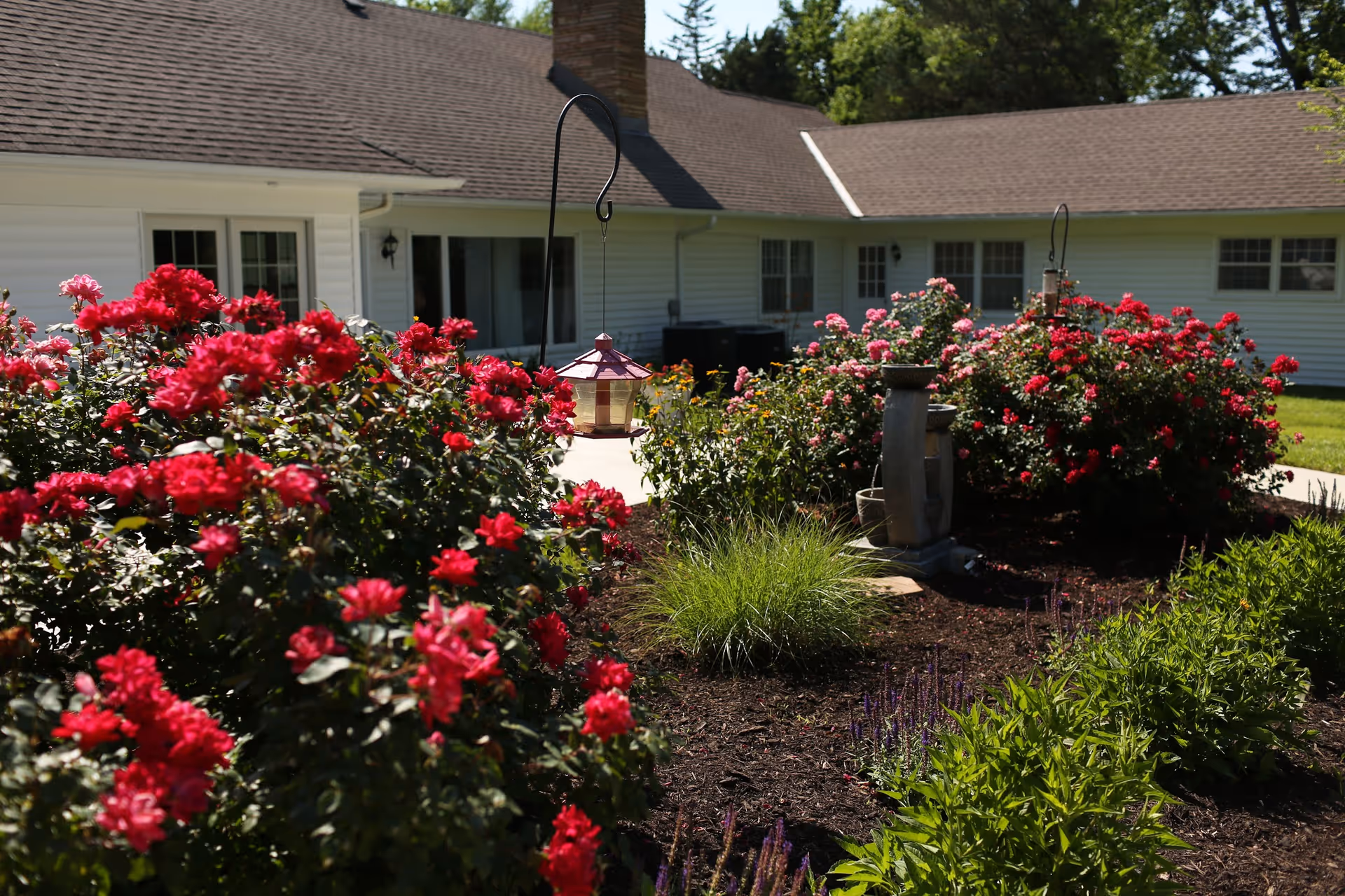 Photo of Morningstar Care Homes of Ottawa