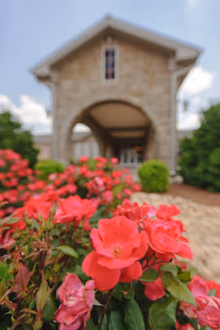 Photo 5 of The Pavilion Senior Living at Lebanon