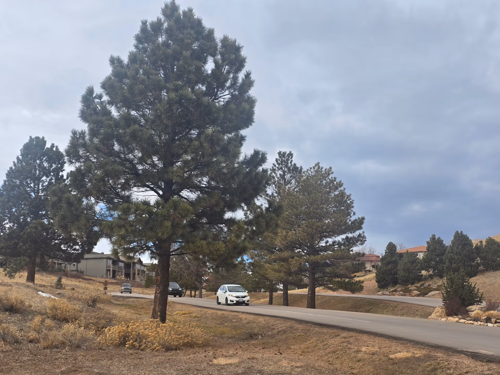 Photo 19 of Grandview of Roxborough