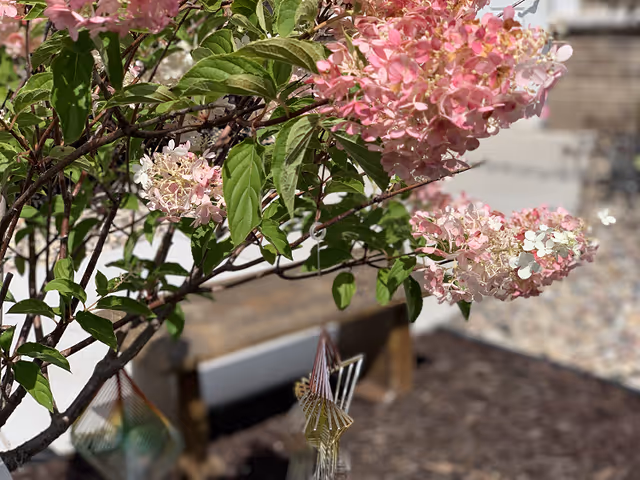 Photo 5 of Frontida Assisted Living: Adelaide Place