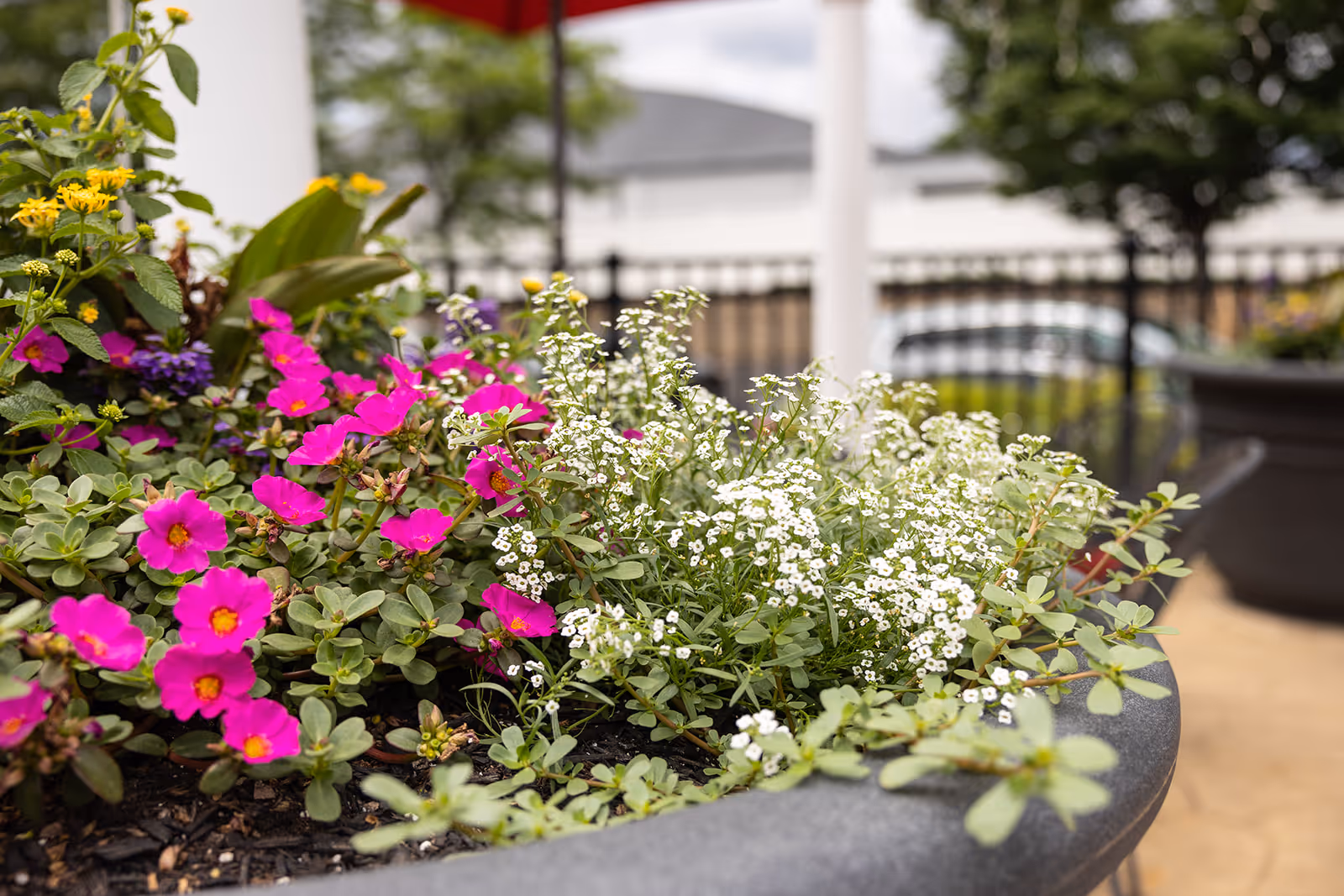 Photo 9 of Commonwealth Senior Living At Willow Grove