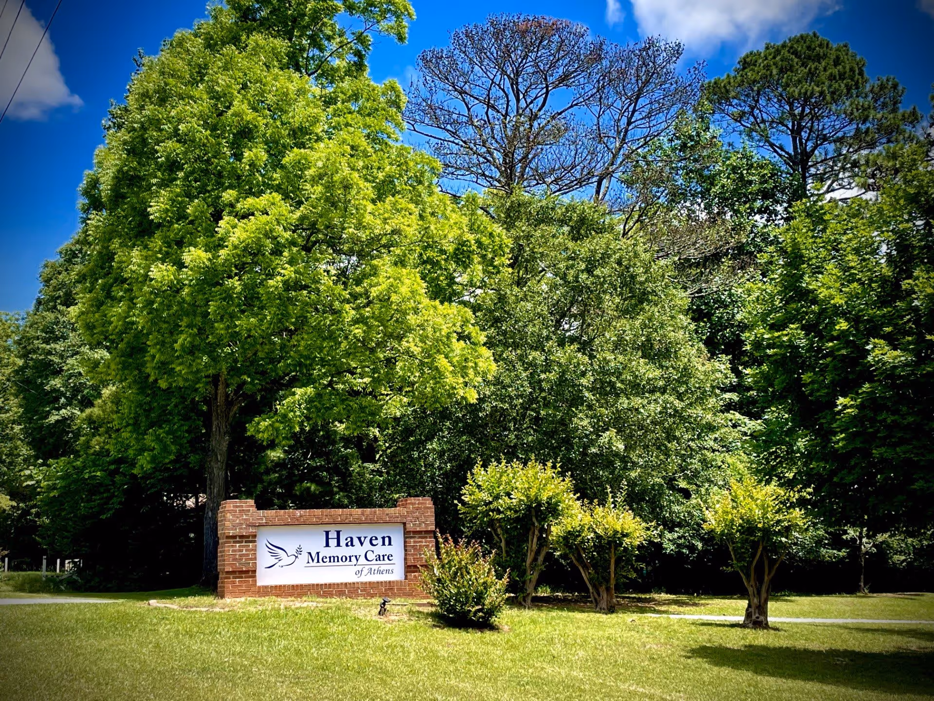 Photo 8 of Haven Memory Care