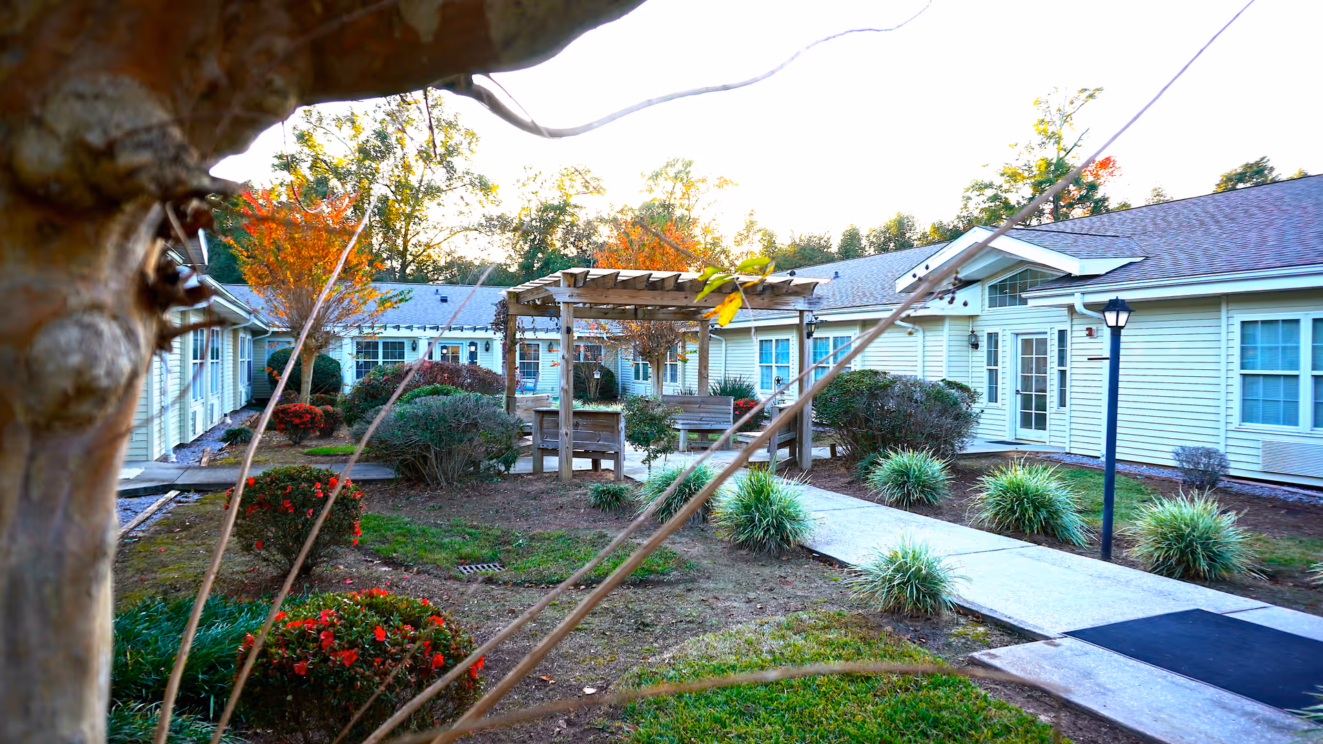 Photo 9 of Sodalis Milton