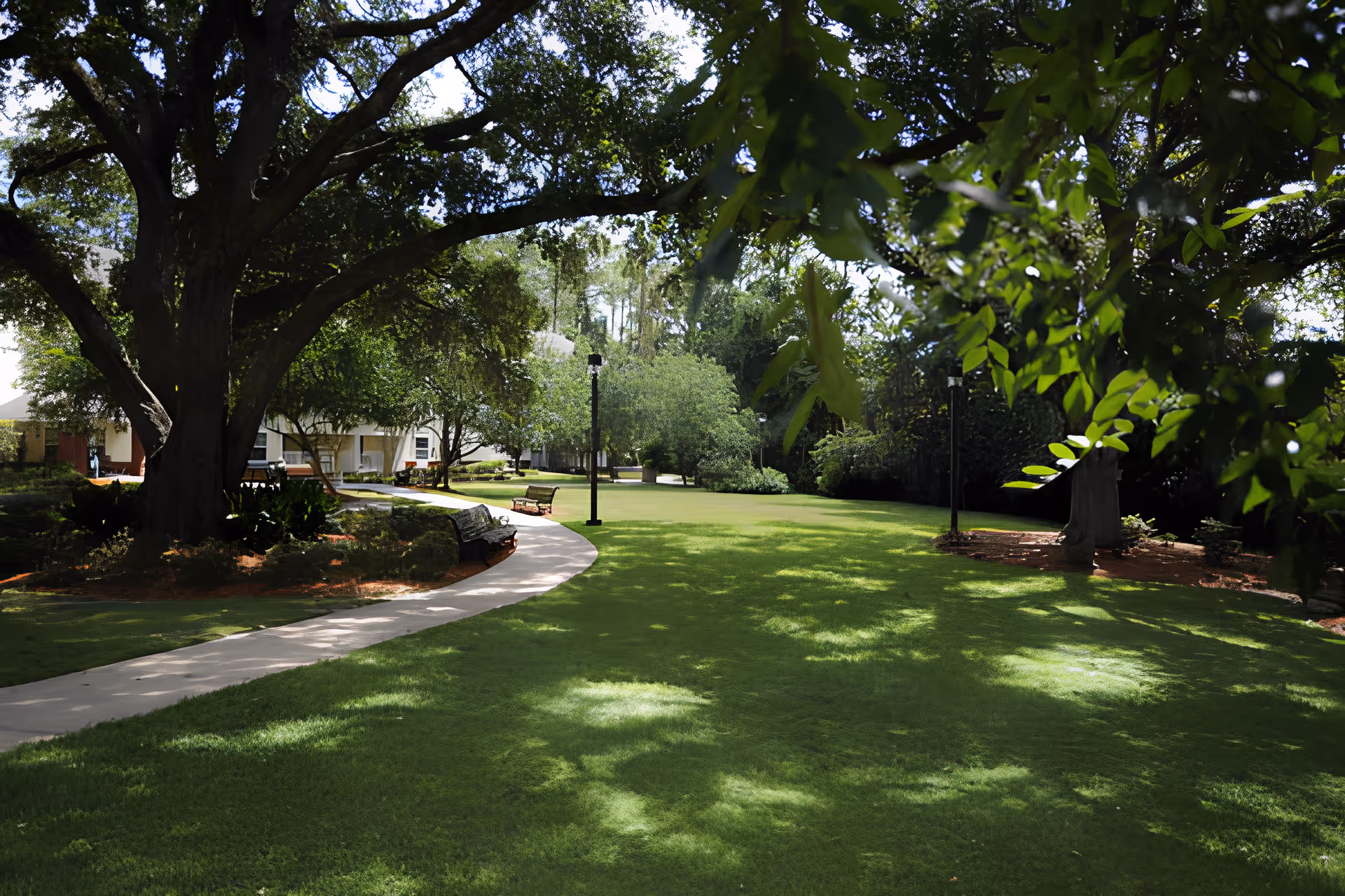 Photo 10 of Allegro Senior Living – Tallahassee, FL