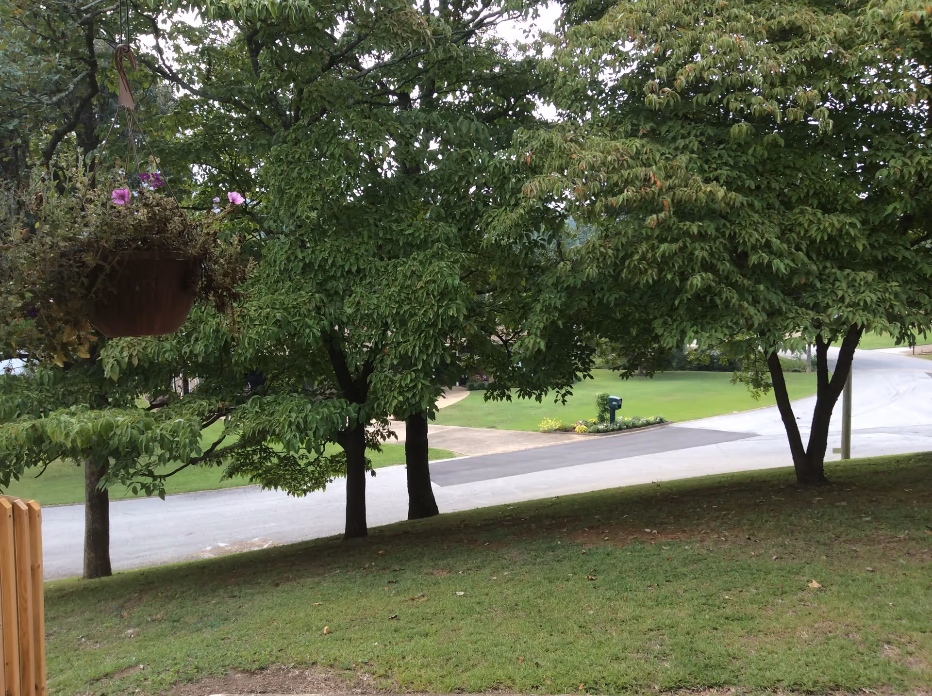 Photo 8 of Memory Lane at Cleveland