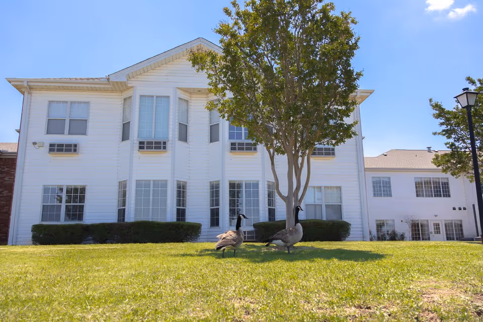 Photo 4 of Elison Assisted Living of Lake Wellington