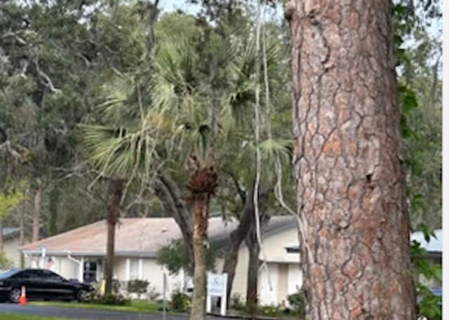 Photo 4 of Elevated Estates of Spring Hill