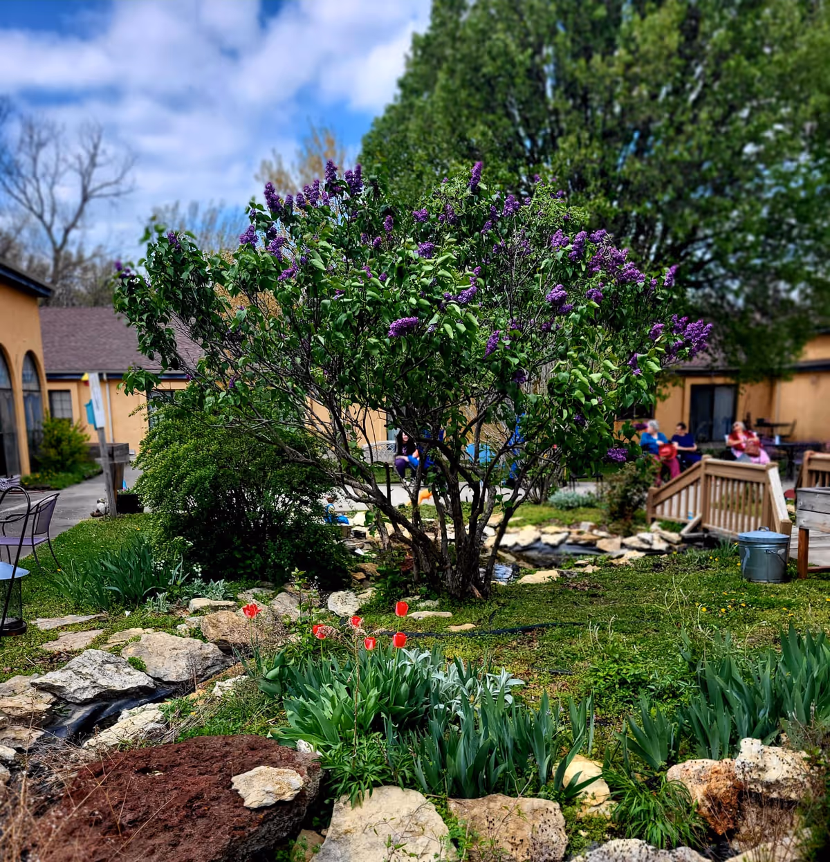 Photo of New Mark Rehab and Healthcare Center