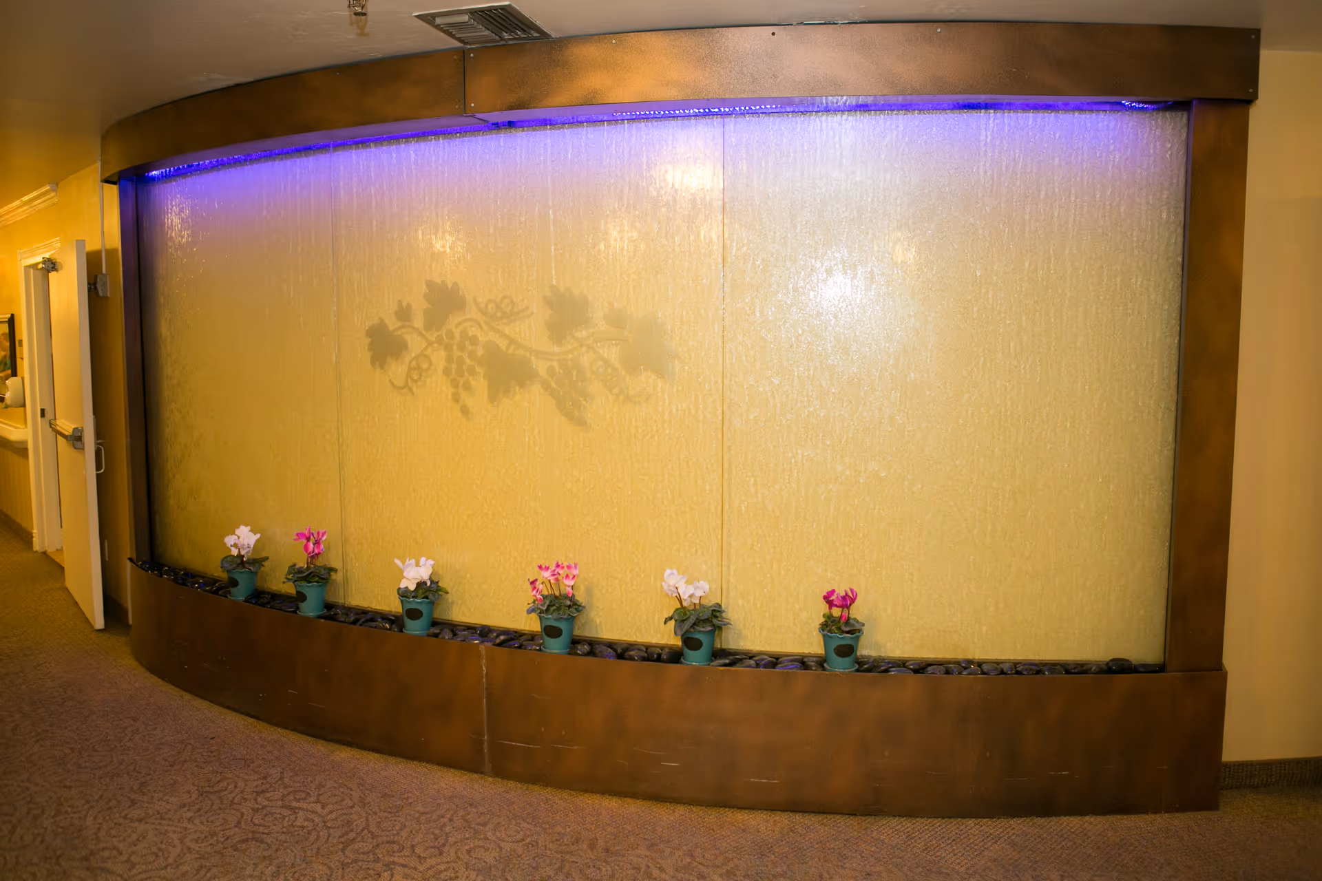 Photo 1 of Petaluma Post-Acute Rehab