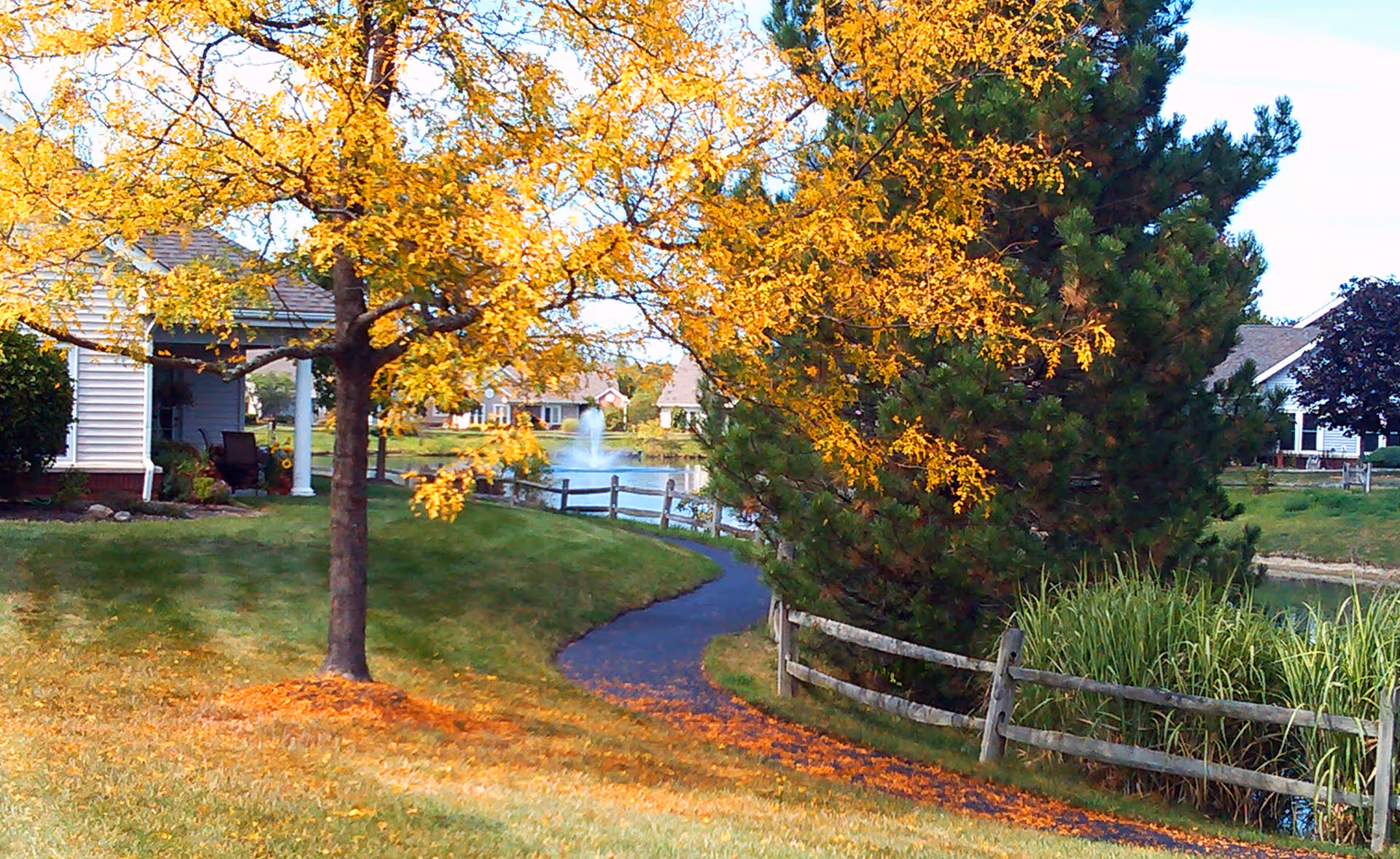 Photo 5 of Wesleyan Meadows
