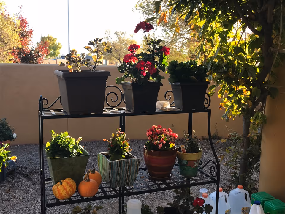 Photo 9 of Ravenna Assisted Living