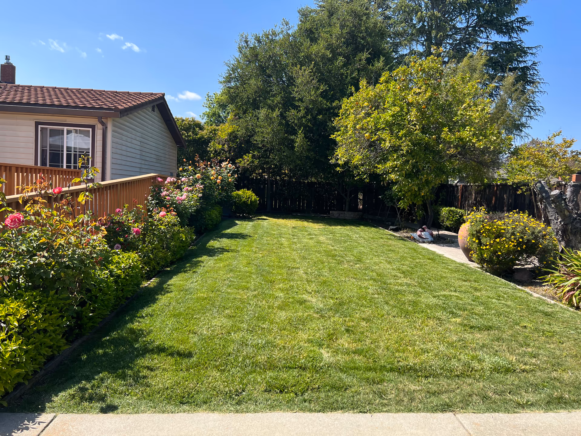 Photo 4 of BlueMeadow Care