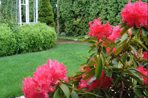 Photo of Mckenzie Manor Memory Care