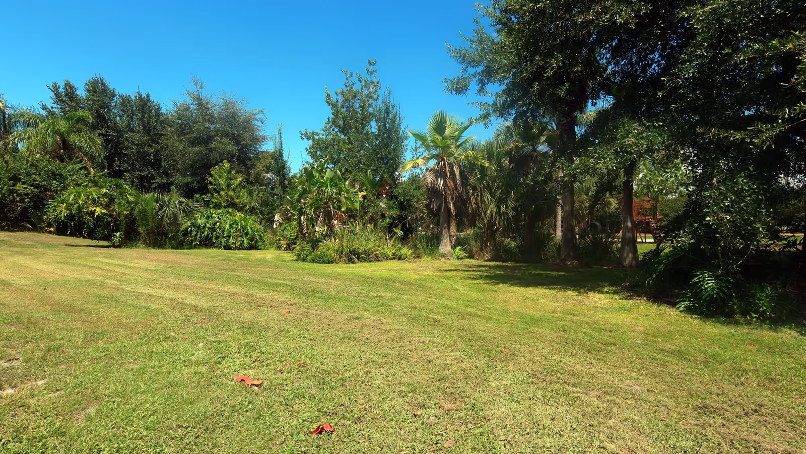 Photo 7 of Foxtail Lodge