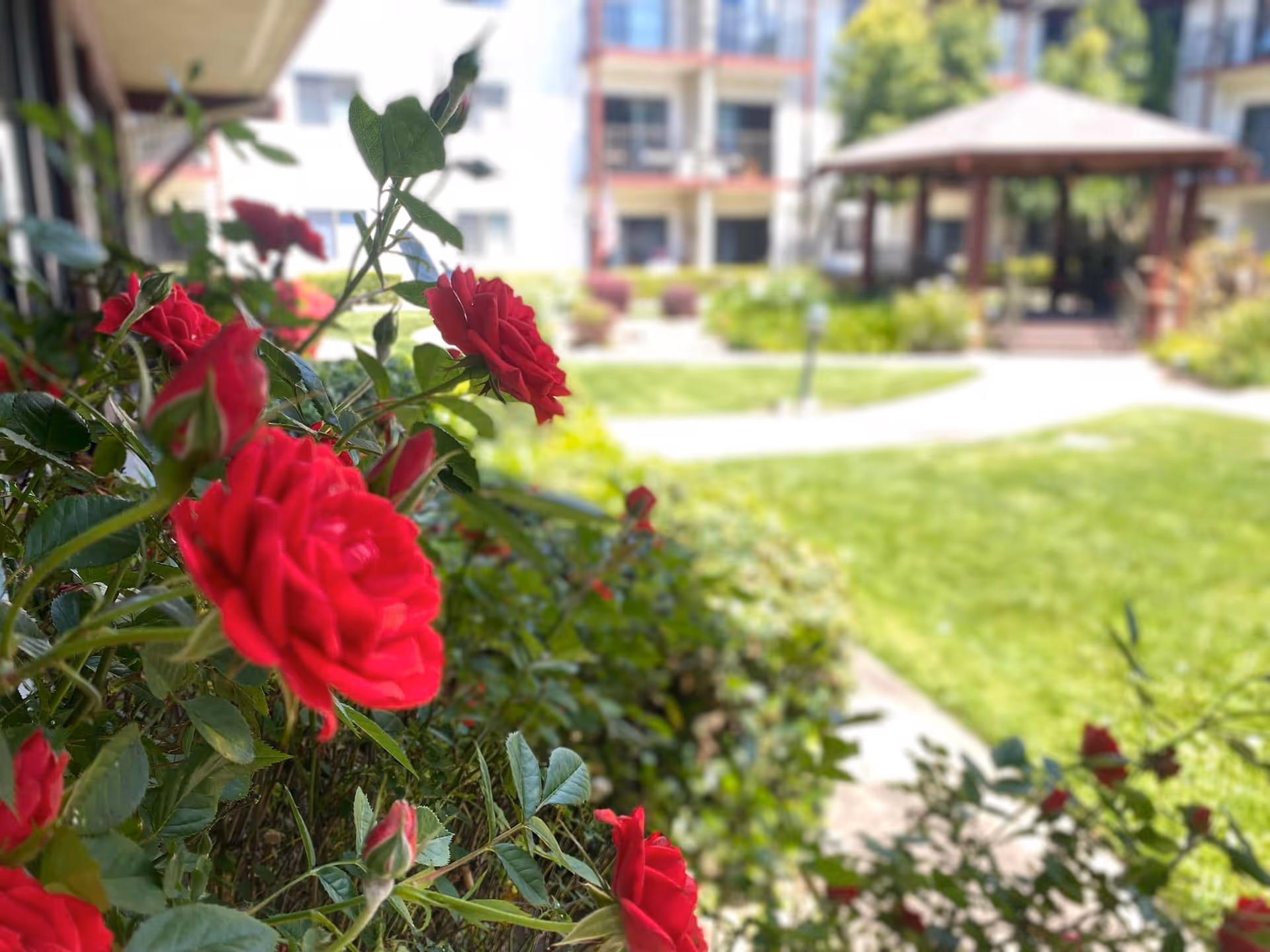 Photo 25 of Roseville Commons Senior Living