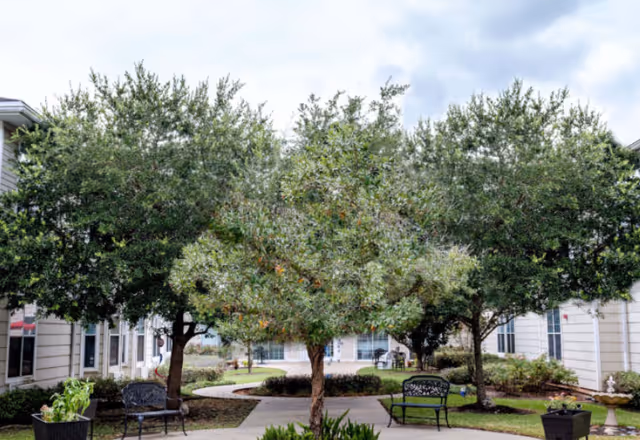 Photo 11 of The Reserve at Pearland Assisted Living and Memory Care
