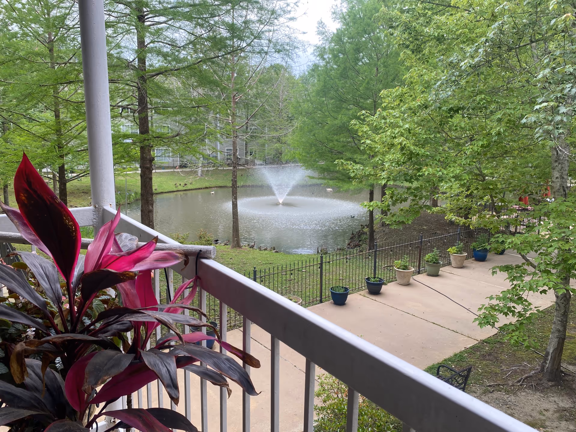 Photo 7 of The Windsor Senior Living Community