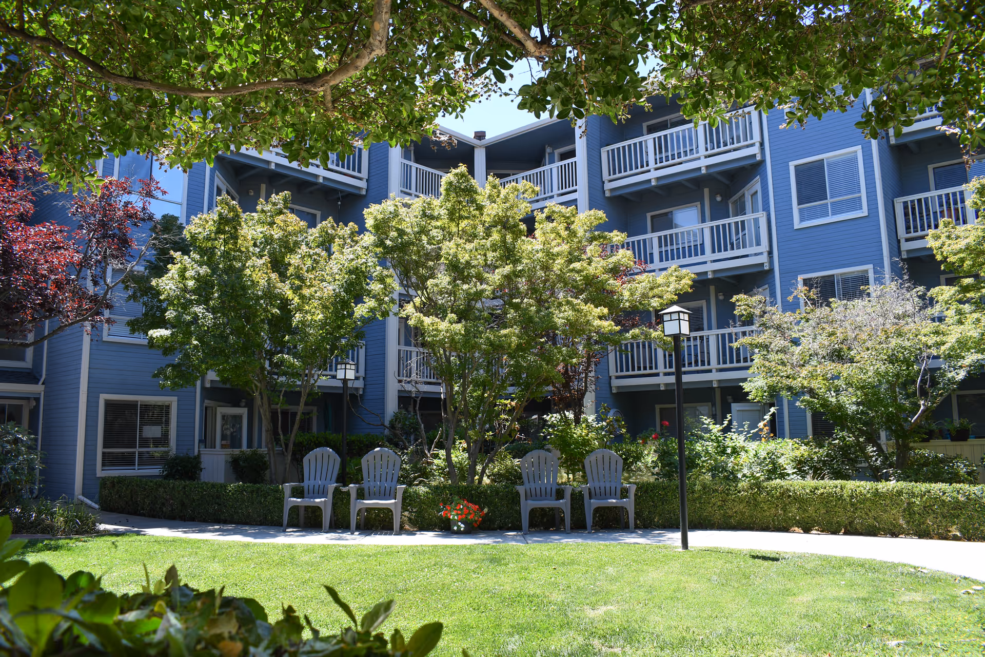 Photo 3 of Carlton Concord