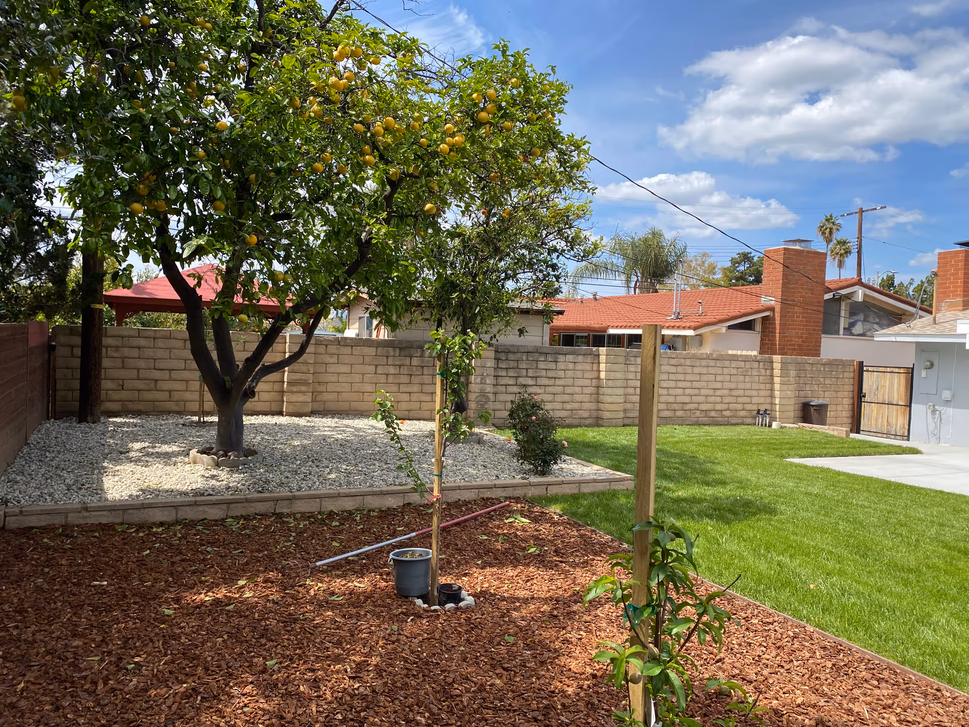 Photo 1 of A-1 Ascended Senior Care Inc.