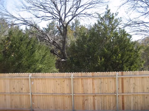 Photo 6 of Abby's Place
