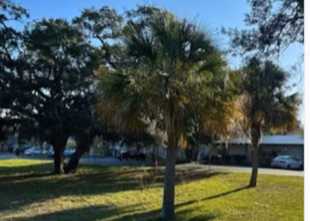 Photo 7 of Elevated Estates of Spring Hill