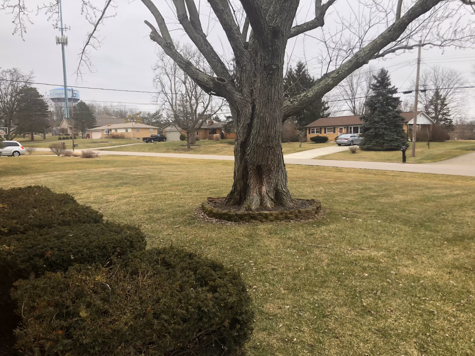 Photo of Personal Senior Care Homes - Birkdale