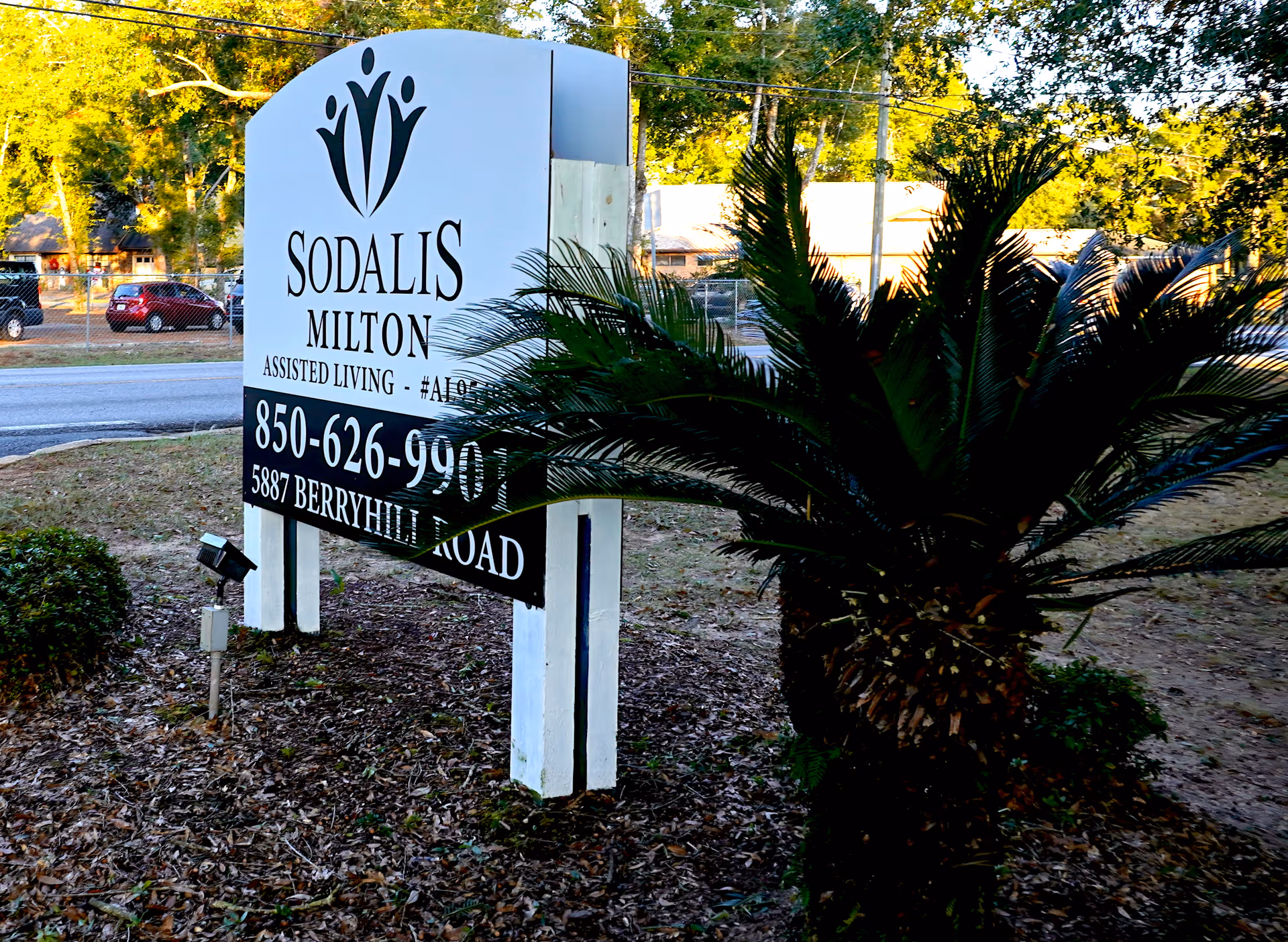 Photo 4 of Sodalis Milton