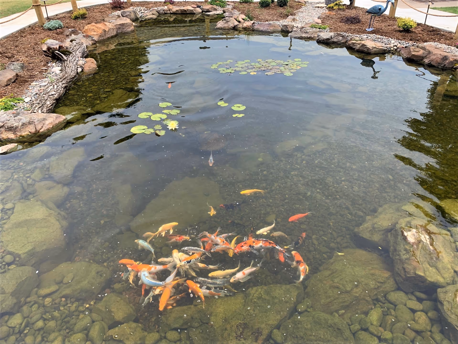 Photo 18 of Southern Hills Retirement Community