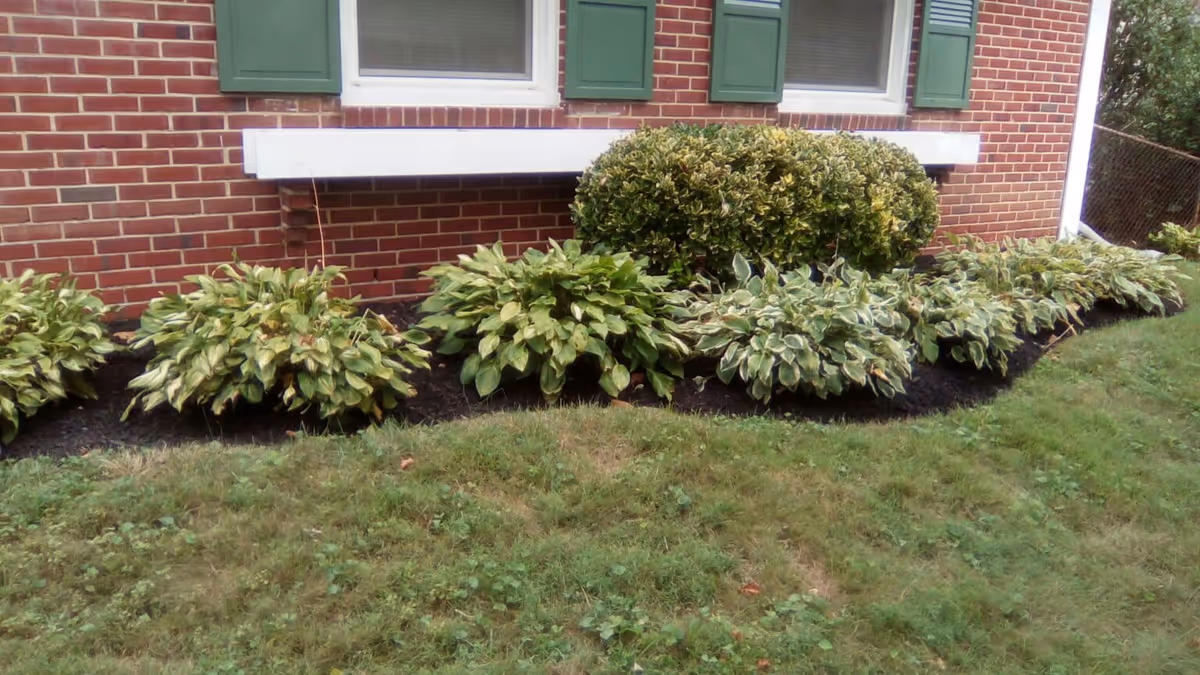Photo 12 of Sunlife Assisted Living