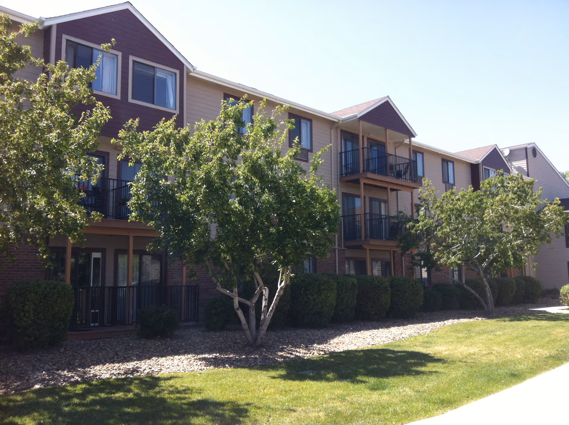 Photo 1 of HMP Senior Solutions Northglenn Heights, LLC
