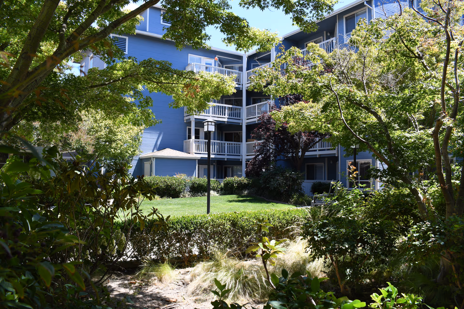 Photo of Carlton Concord