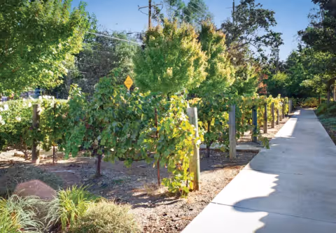 Photo 2 of Cogir of Sonoma Plaza