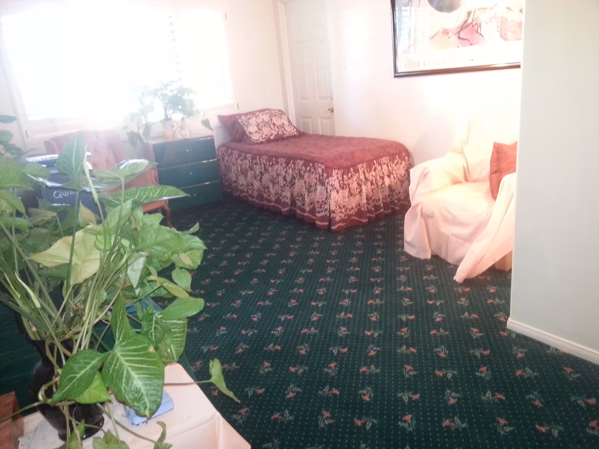 Photo 3 of Carino's Quality Home Care, INC
