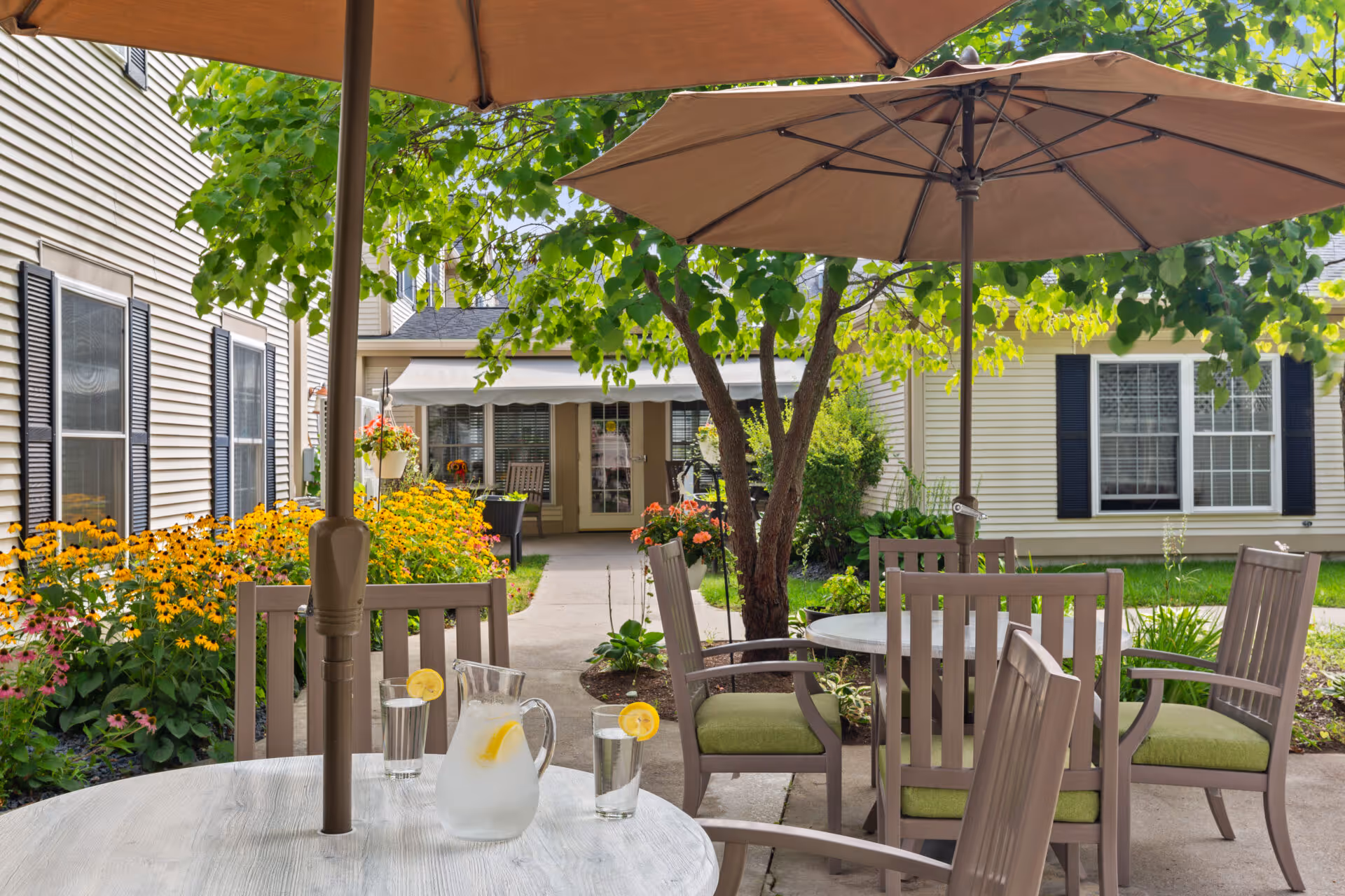 Photo 17 of Benchmark Senior Living at Plymouth Crossings