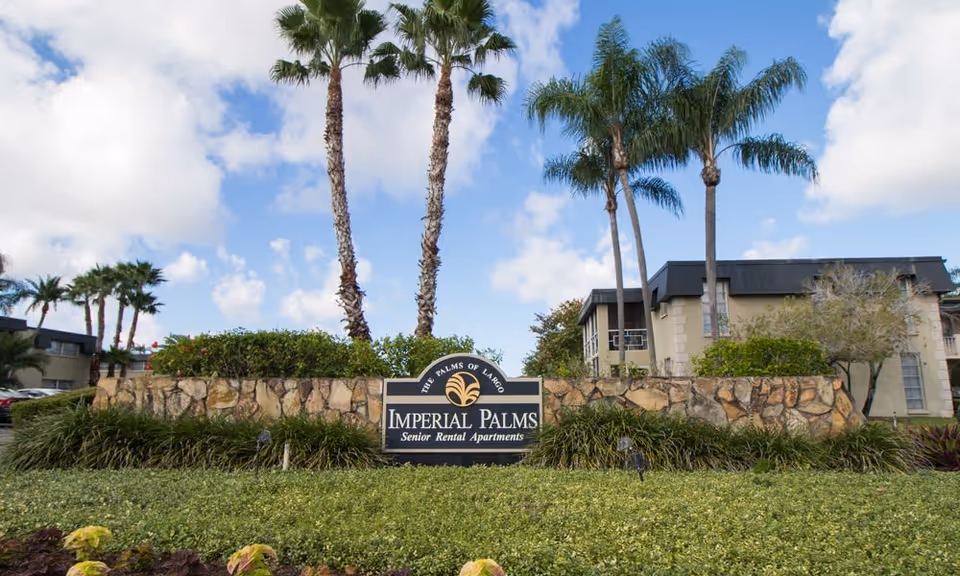 Photo 3 of Imperial Palms