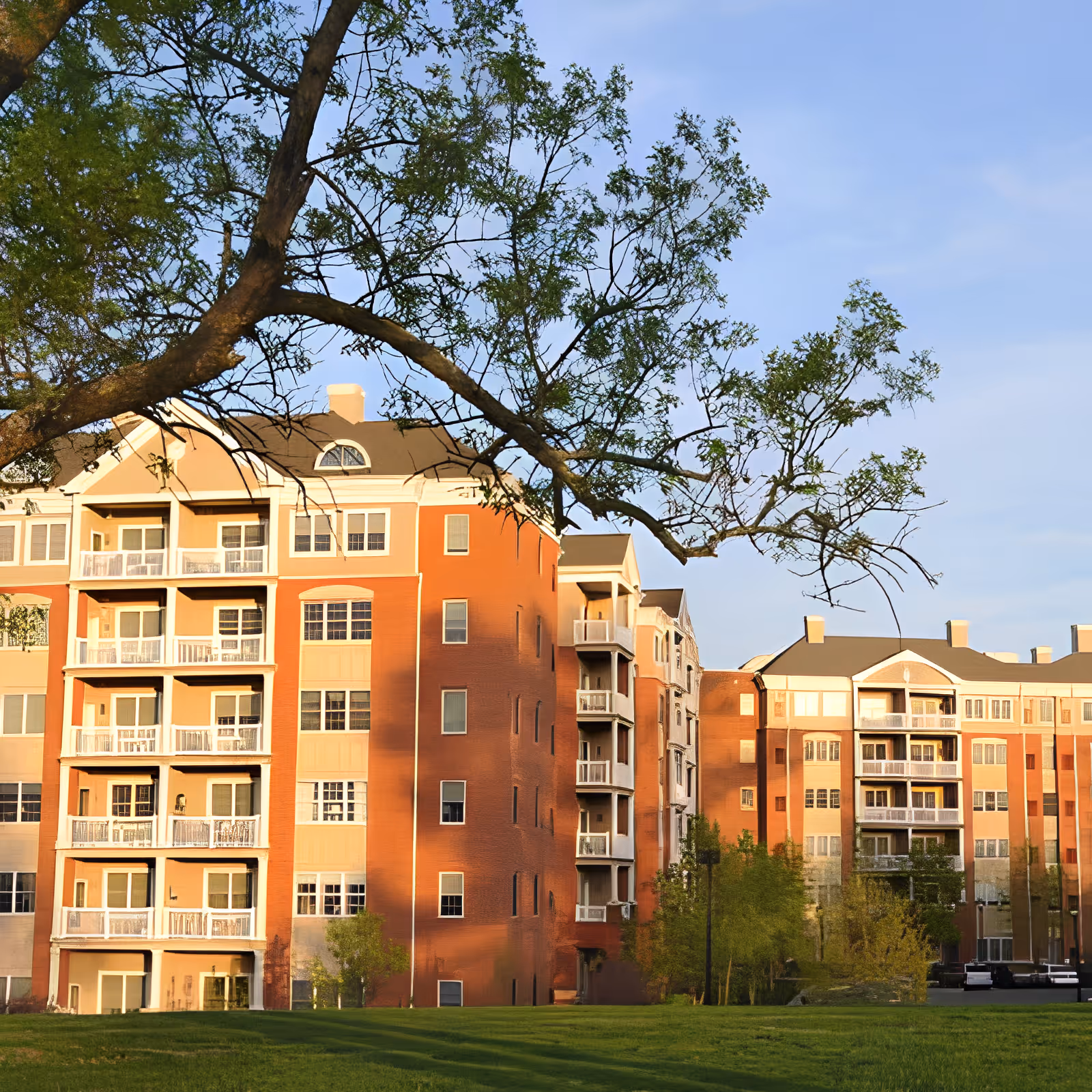 Photo of Mercy Ridge