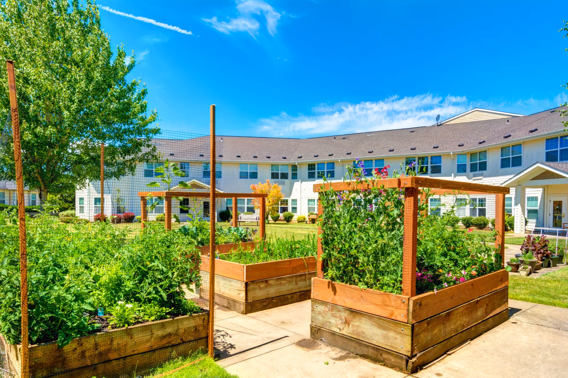 Photo 4 of Vineyard Heights Assisted Living
