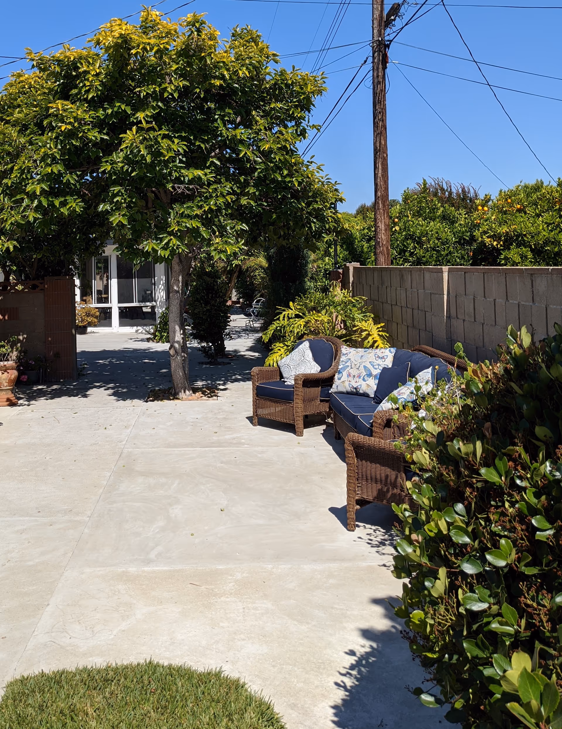 Photo 3 of Bubbe & Zayde's Place IV