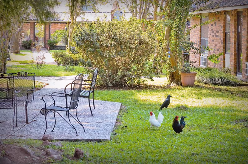Photo 10 of Courtyard Retirement & Assisted Living Community