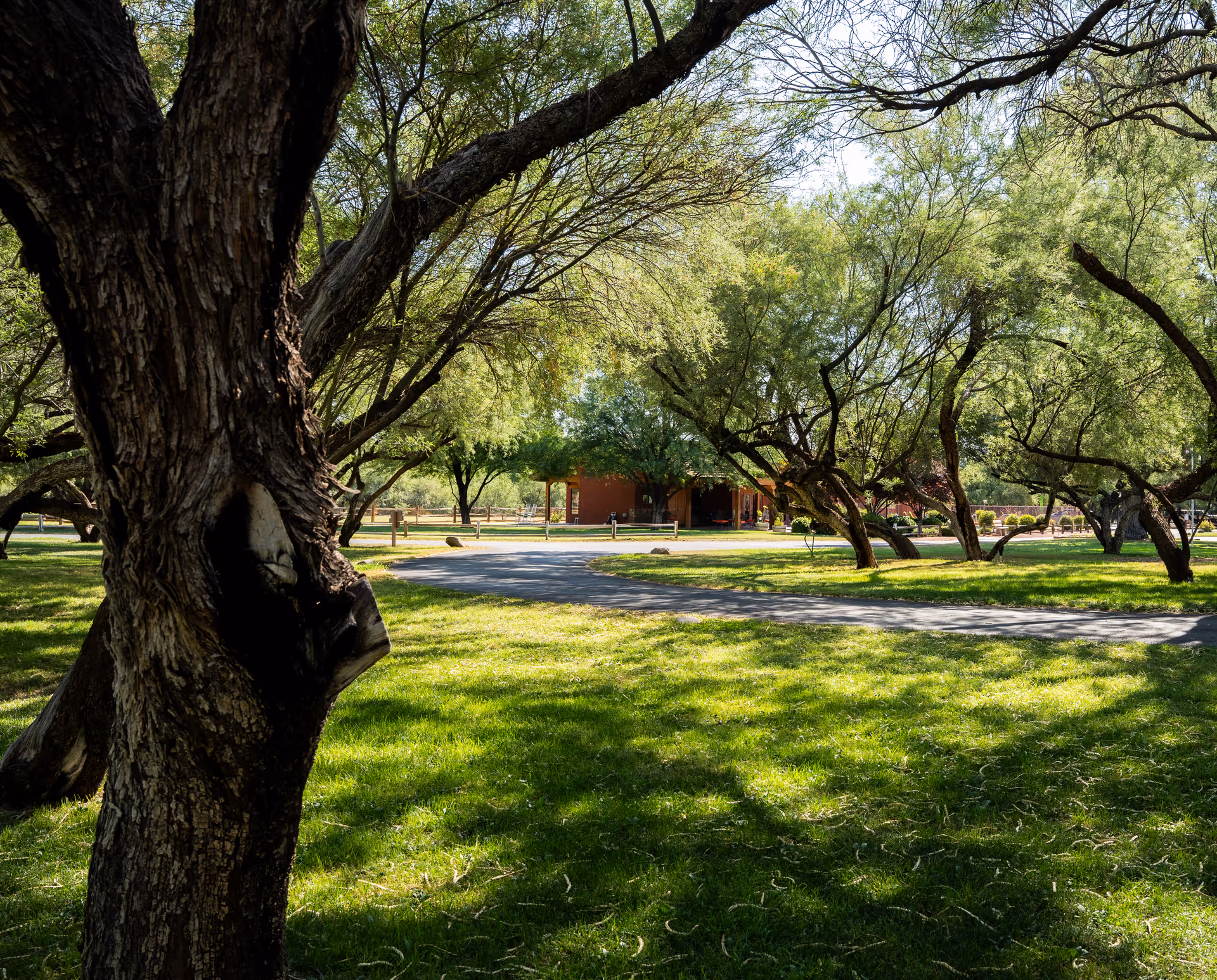 Photo 3 of Rustic Ranch Senior Living