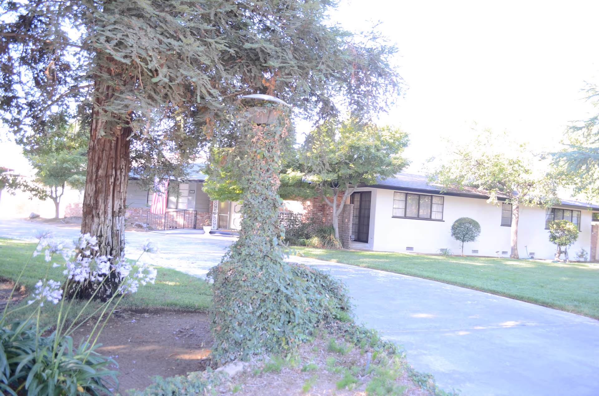 Photo 14 of Evergreen Life Care Homes